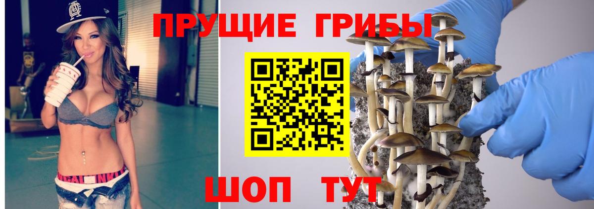 Галлюциногенные грибы мицелий Малоярославец