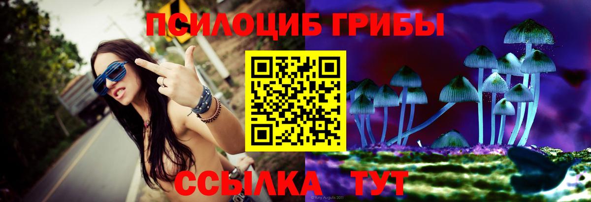 Галлюциногенные грибы мицелий  Псилоцибиновые грибы Psilocybine cubensis  Малоярославец 